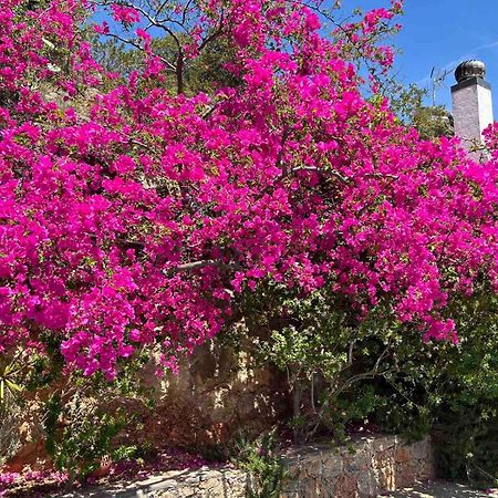 Fissi Villas Agritourism Accommodation Near The Sea Agios Nikolaos  Ngoại thất bức ảnh