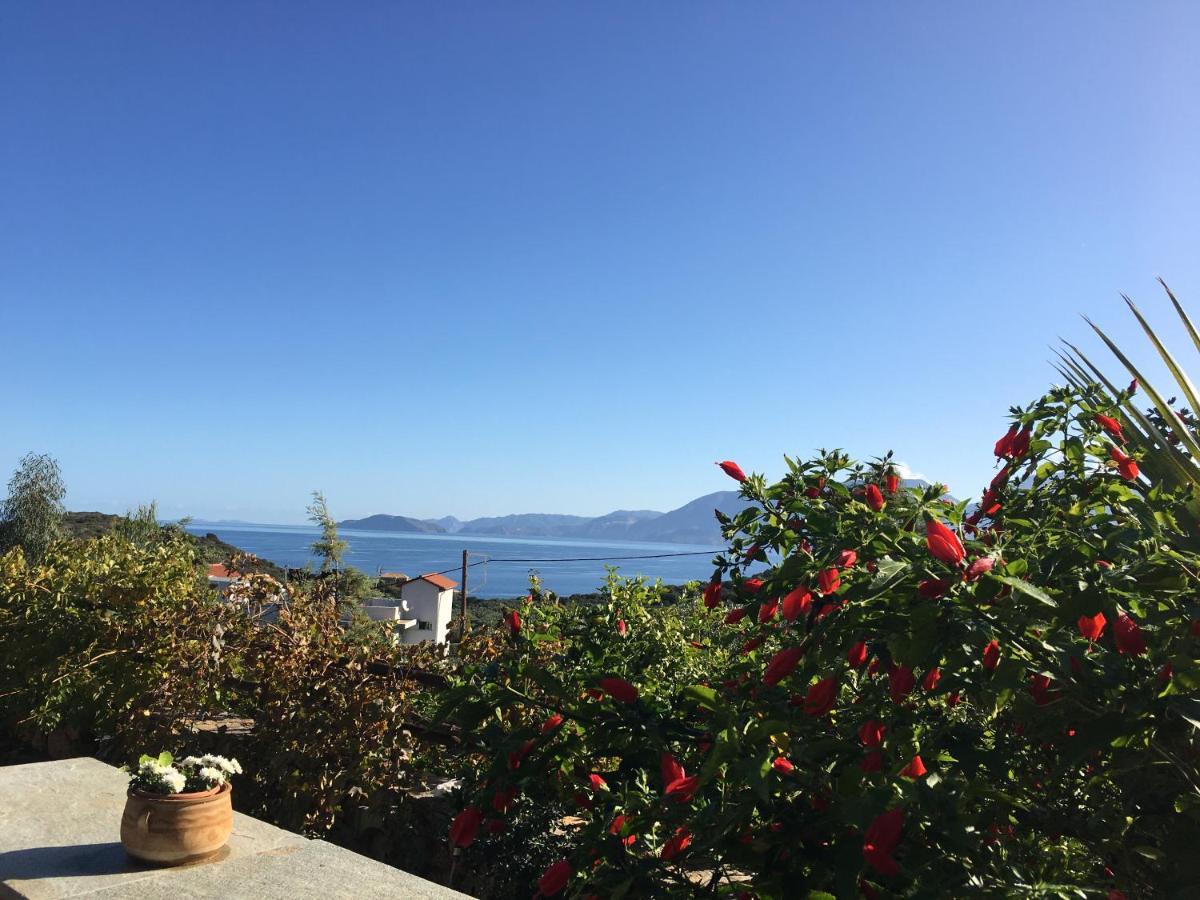 Fissi Villas Agritourism Accommodation Near The Sea Agios Nikolaos  Ngoại thất bức ảnh