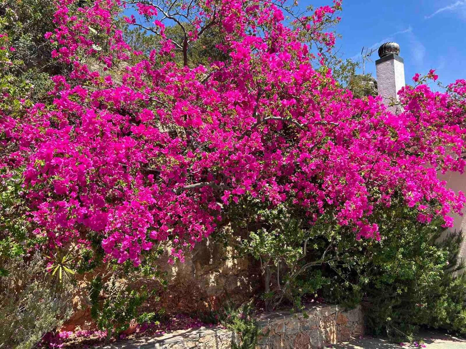 Fissi Villas Agritourism Accommodation Near The Sea Agios Nikolaos  Ngoại thất bức ảnh