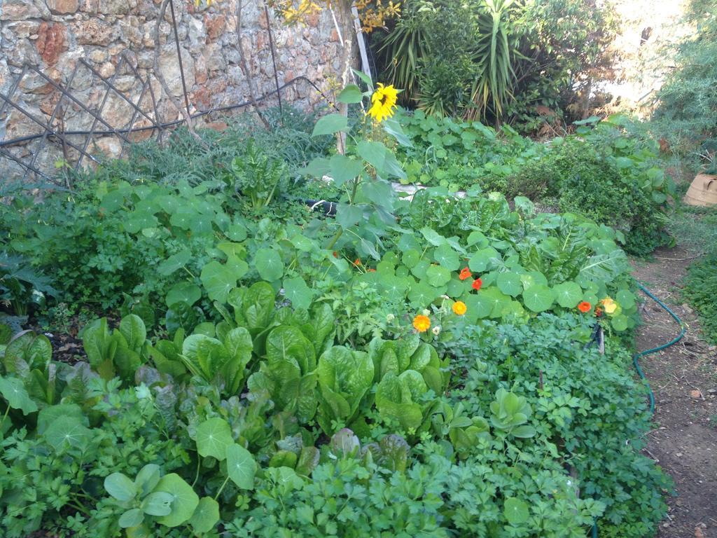 Fissi Villas Agritourism Accommodation Near The Sea Agios Nikolaos  Ngoại thất bức ảnh
